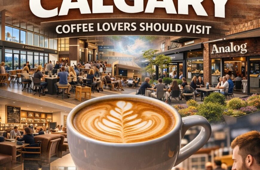 10 Best Coffee Shops in Calgary Coffee Lovers Should Visit