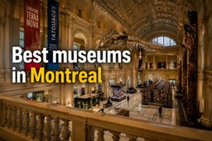 Best Museums in Montreal: Top 10 Must-Visit Places